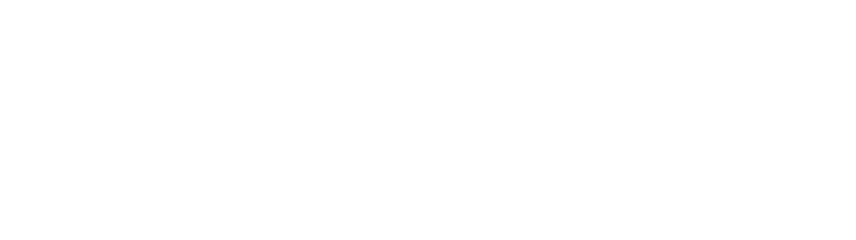 zinlife