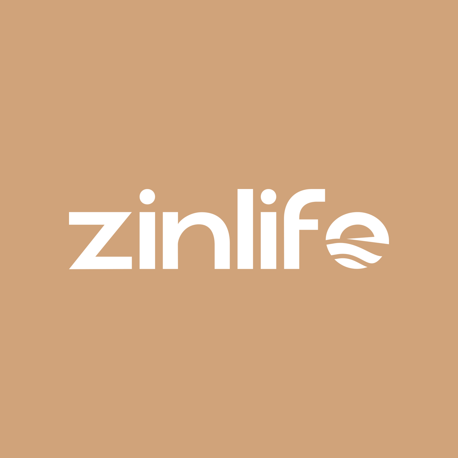 Zinlife